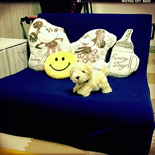 しまむらクッション こどもと暮らすのインテリア実例 Roomclip ルームクリップ