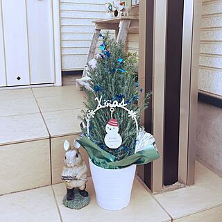 玄関/入り口/クリスマスツリー/クリスマスのインテリア実例 - 2016-11-29 16:30:22