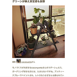 棚/2018.6.21☀️/観葉植物のある暮らし/ラダーシェルフDIY/magに掲載されました✨...などのインテリア実例 - 2018-06-21 21:00:25