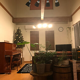 部屋全体/ニトリのカーテン/ニトリの木製ブラインド/照明 リビング/クリスマスツリー150cm...などのインテリア実例 - 2018-12-17 21:26:56