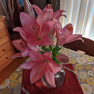 机/ユリの花/花瓶のお花/ピンクのお花/季節を楽しむ...などのインテリア実例 - 2020-05-27 07:55:59