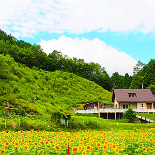 玄関/入り口/新築/しらすそとん壁/平屋風2階建/三角屋根の家...などのインテリア実例 - 2020-07-30 11:20:20