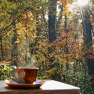 紅葉/玄関先/おうち時間を楽しむ/癒し/部屋全体...などのインテリア実例 - 2021-11-03 08:40:27