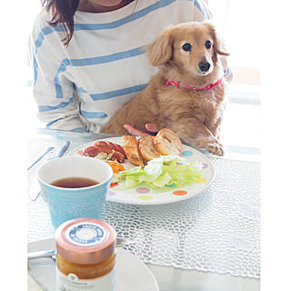 ダックスフンド/犬のいる暮らし/朝ごはん/breakfast/シンプルライフ...などのインテリア実例 - 2020-03-29 17:02:12