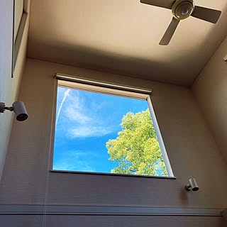 窓の景色/picture window/夏空/夏/借景...などのインテリア実例 - 2021-07-24 22:06:22