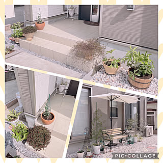 癒し/我が家/建売住宅/建売住宅だけど可愛く☆/観葉植物...などのインテリア実例 - 2022-04-11 09:47:18