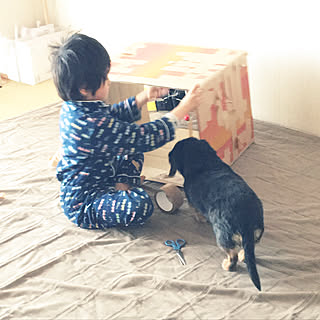 部屋全体/休日の朝/箱好き麿/芽を摘まないように…/ガムテープ大量(^^;;...などのインテリア実例 - 2017-12-30 09:59:48