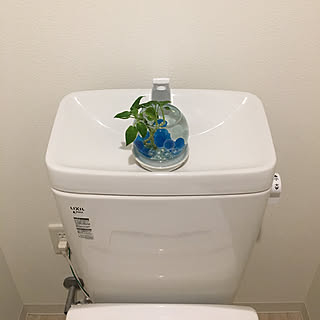 バス/トイレ/100均/セリア/観葉植物/トイレのインテリア実例 - 2018-07-22 17:39:32