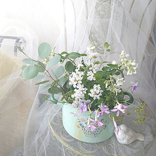 部屋全体/花のある暮らし/花のある生活/花のある空間/花のある風景...などのインテリア実例 - 2020-07-17 17:25:54