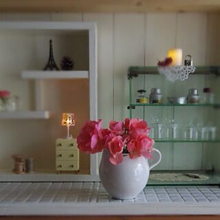 棚/植物/薔薇/庭のお花/DIY棚...などのインテリア実例 - 2013-05-26 18:37:19