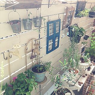 部屋全体/植物/ベランダ/DIY/100均...などのインテリア実例 - 2014-06-22 11:10:34