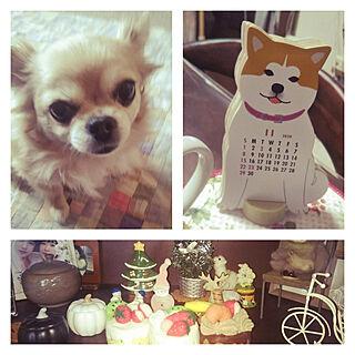 机/Xmas飾り/愛犬♡/カレンダー♪のインテリア実例 - 2020-11-07 11:23:48