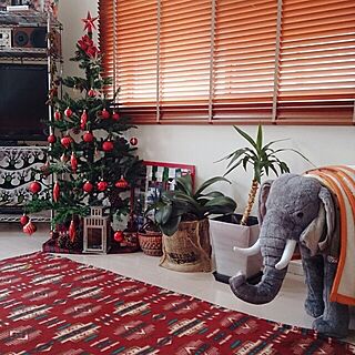 リビング/しまドルトン/クリスマスツリー/IKEA/クリスマスのインテリア実例 - 2014-11-03 14:59:19