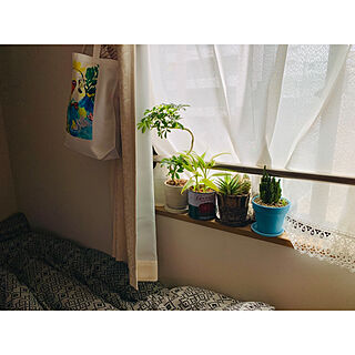 unico ベッドカバー/観葉植物のある暮らし/ACTUS/観葉植物/窓辺のグリーン...などのインテリア実例 - 2020-05-31 10:10:15