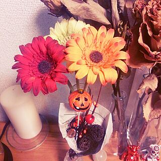 キッチン/ハロウィン/HALLOWEEN/funny/TOY...などのインテリア実例 - 2013-10-05 19:07:37