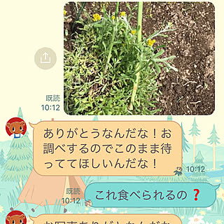 野菜うまし/アースガーデン/害虫対策/家庭菜園/ガーデニング...などのインテリア実例 - 2022-06-10 10:43:45