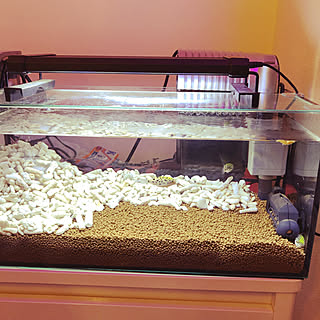 ミドリフグちゃんのインテリア実例 Roomclip ルームクリップ