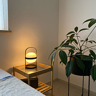 ポータブルランプ/IKEA/観葉植物/北欧/照明...などのインテリア実例 - 2023-01-12 23:21:39