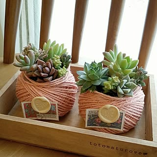 多肉植物/麻紐/多肉植物寄せ植え/シーリングスタンプ/セリアのインテリア実例 - 2016-03-18 17:21:49