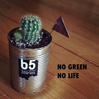 NO GREEN NO LIFE/サボテン/トマト缶/皮ピックのインテリア実例 - 2015-01-23 20:54:09