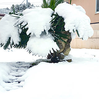 玄関/入り口/雪降ってます/ガネーシャ/庭/バリ島...などのインテリア実例 - 2017-12-13 11:59:16