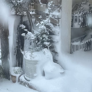 まるでモノクローム/2022.12.23/暴風雪を目の当たりに/昼前には長靴埋まる/大雪警報発令中...などのインテリア実例 - 2022-12-23 19:24:40