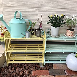 玄関/入り口/ペンキ塗り/IKEA/DIY/観葉植物...などのインテリア実例 - 2017-02-27 14:07:33