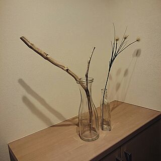 玄関/入り口/IKEA/Can☆Do/流木のインテリア実例 - 2017-02-08 22:06:19