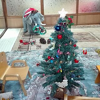 リビング/クリスマス/クリスマスツリー/象/Welcomeサンタのインテリア実例 - 2015-12-05 16:00:36