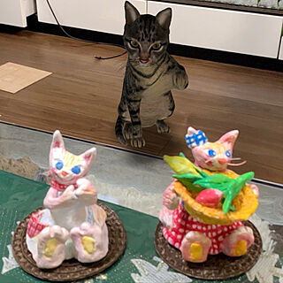 3Dのニャンコ/jijiちゃんの猫/冬支度/3Dでリアル/まったり時間...などのインテリア実例 - 2021-12-14 23:00:50