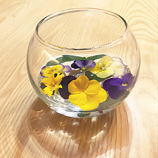 花のある生活を/雑貨/ガーデニング/カフェ風/ナチュラル...などのインテリア実例 - 2019-05-19 23:26:34