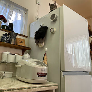 猫のいる暮らし/炊飯器/冷蔵庫横/タイルトップ/2列型キッチン...などのインテリア実例 - 2022-01-19 16:15:15