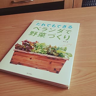 コメントお返しまだでごめんなさい‼︎/ベランダ菜園/植物/ベランダ 賃貸/本...などのインテリア実例 - 2015-05-23 10:46:35