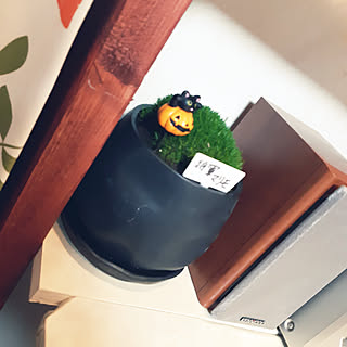 ハロウィン/100均/観葉植物/部屋全体のインテリア実例 - 2019-10-14 22:12:14