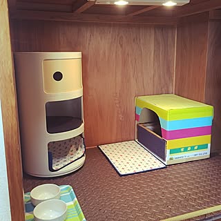 猫部屋 押入れ改造のおしゃれなインテリアコーディネート レイアウトの実例 Roomclip ルームクリップ