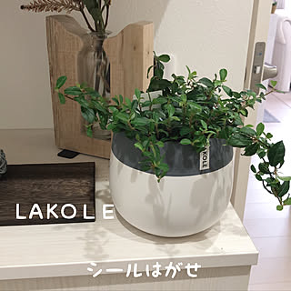 加工なしのpic/観葉植物/LAKOLE/玄関インテリア/ホワイトインテリア...などのインテリア実例 - 2020-05-29 09:05:04