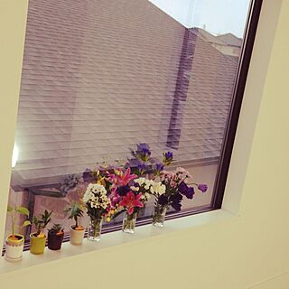 壁/天井/観葉植物/窓/植物/花のインテリア実例 - 2014-10-12 07:47:51