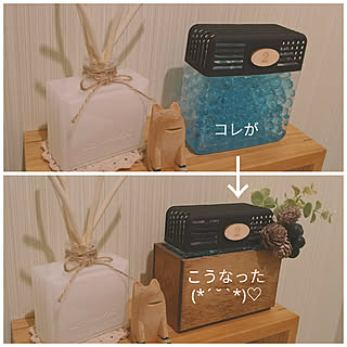 バス/トイレ/消臭ビーズ/消臭剤カバー/DIY リメイク/TｰLab 木彫り動物のインテリア実例 - 2019-02-06 02:29:58