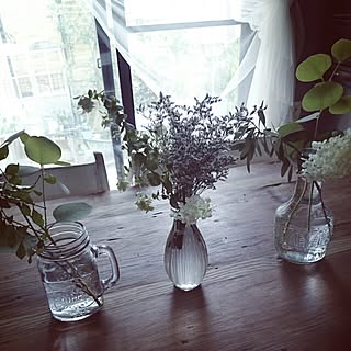 植物のある暮らし/植物/アジサイ/アナベル/ユーカリポポラス...などのインテリア実例 - 2016-06-12 14:29:46