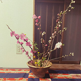桜/生け花/植物のある暮らし/ペットと暮らす/植物が好き...などのインテリア実例 - 2020-04-03 21:32:48