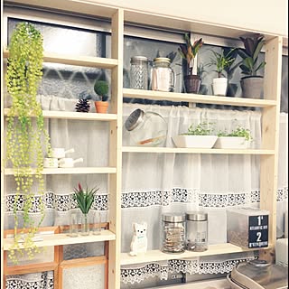 キッチン/1×4材/DAISO♥/IKEA/観葉植物...などのインテリア実例 - 2016-03-16 01:38:40