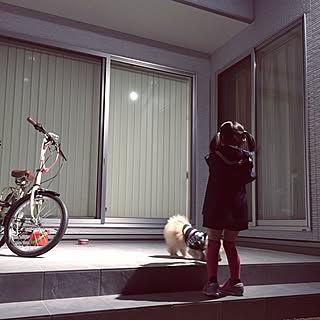 玄関/入り口/タイルデッキ/愛犬と暮らす家/自転車のインテリア実例 - 2017-06-14 08:22:46