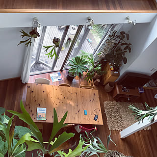リビング/流木/植物/無垢の床/大きな窓...などのインテリア実例 - 2018-09-05 16:07:57