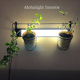 kukui_terrace/ALOHAlight/室内植物栽培/照明/光合成促進...などのインテリア実例 - 2019-03-02 20:10:29