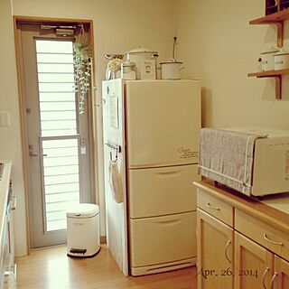 キッチン/冷蔵庫もシンプルデザイン/フェイクグリーンをブラブラ♪/冷蔵庫横板壁/背が低いので冷蔵庫も低めじゃないと。...などのインテリア実例 - 2014-04-26 09:00:25