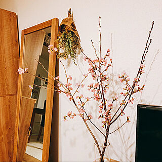 桜/unico/花のある暮らし/ドライフラワー/リビング...などのインテリア実例 - 2019-03-31 01:11:48