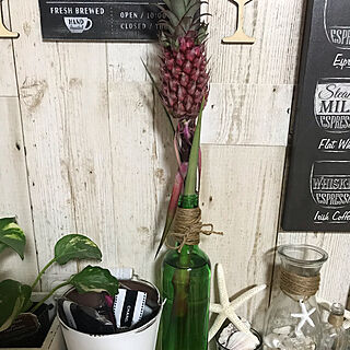 サンゴパイン/ワインの空き瓶/こんばんゎ☆。.:＊・゜/お花大好き♡/お花のある暮らし...などのインテリア実例 - 2019-06-06 20:49:01