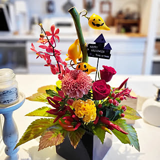 ケイトウ モカラのインテリア実例 Roomclip ルームクリップ