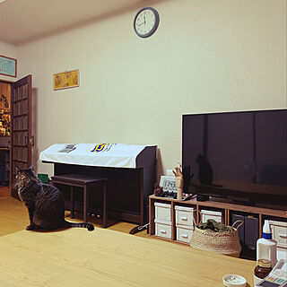 猫/IKEA/電子ピアノ/日本家屋/築40年以上...などのインテリア実例 - 2020-09-08 23:49:10