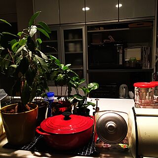 キッチン/IKEA/ゴムの木/照明/夜...などのインテリア実例 - 2015-12-17 22:26:49